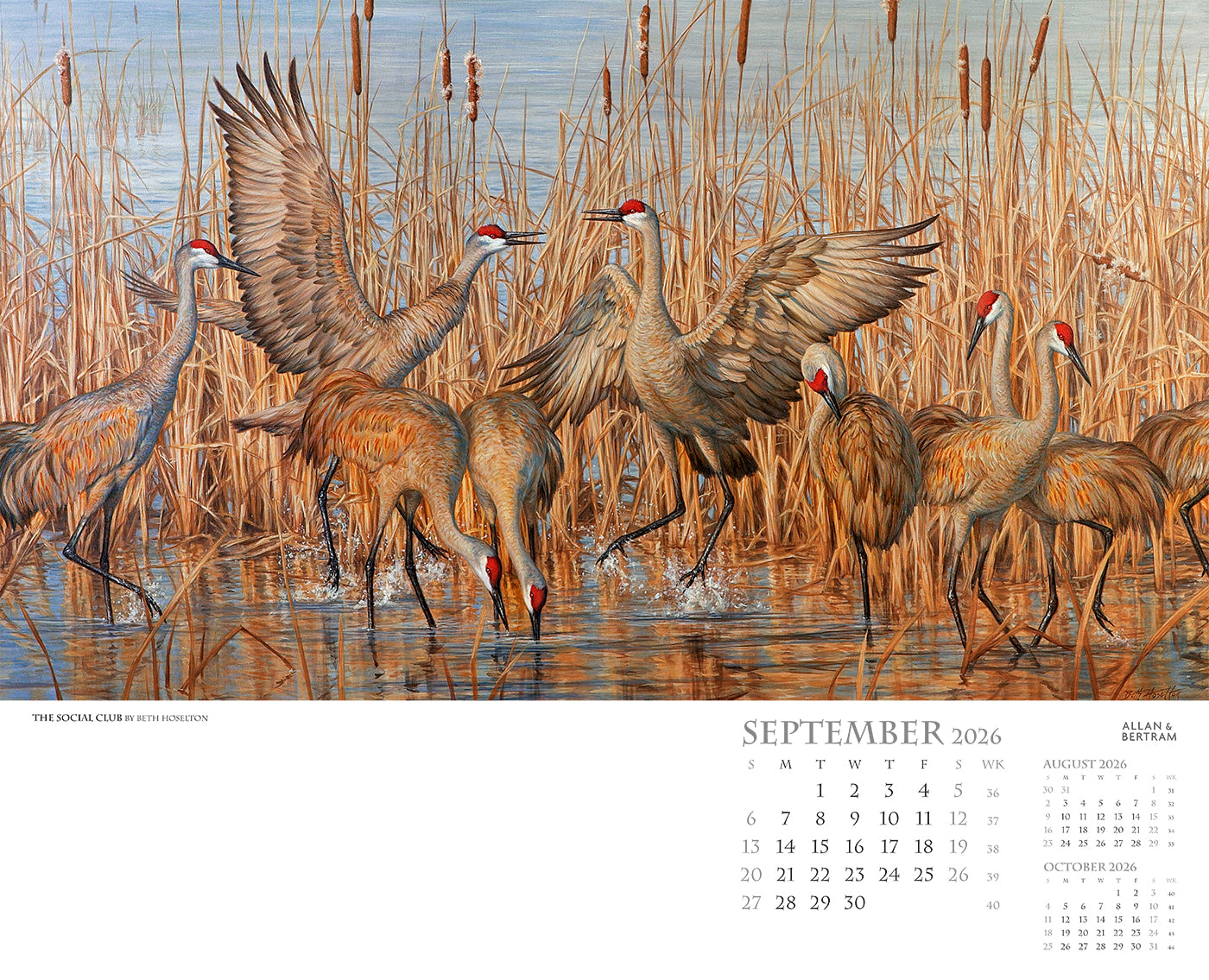 Call of the Wild Wall Calendar