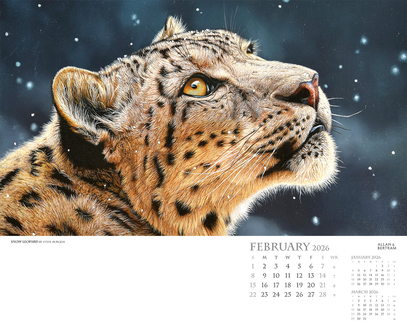 Call of the Wild Wall Calendar