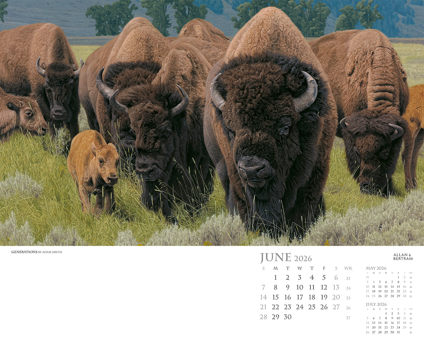 Call of the Wild Wall Calendar
