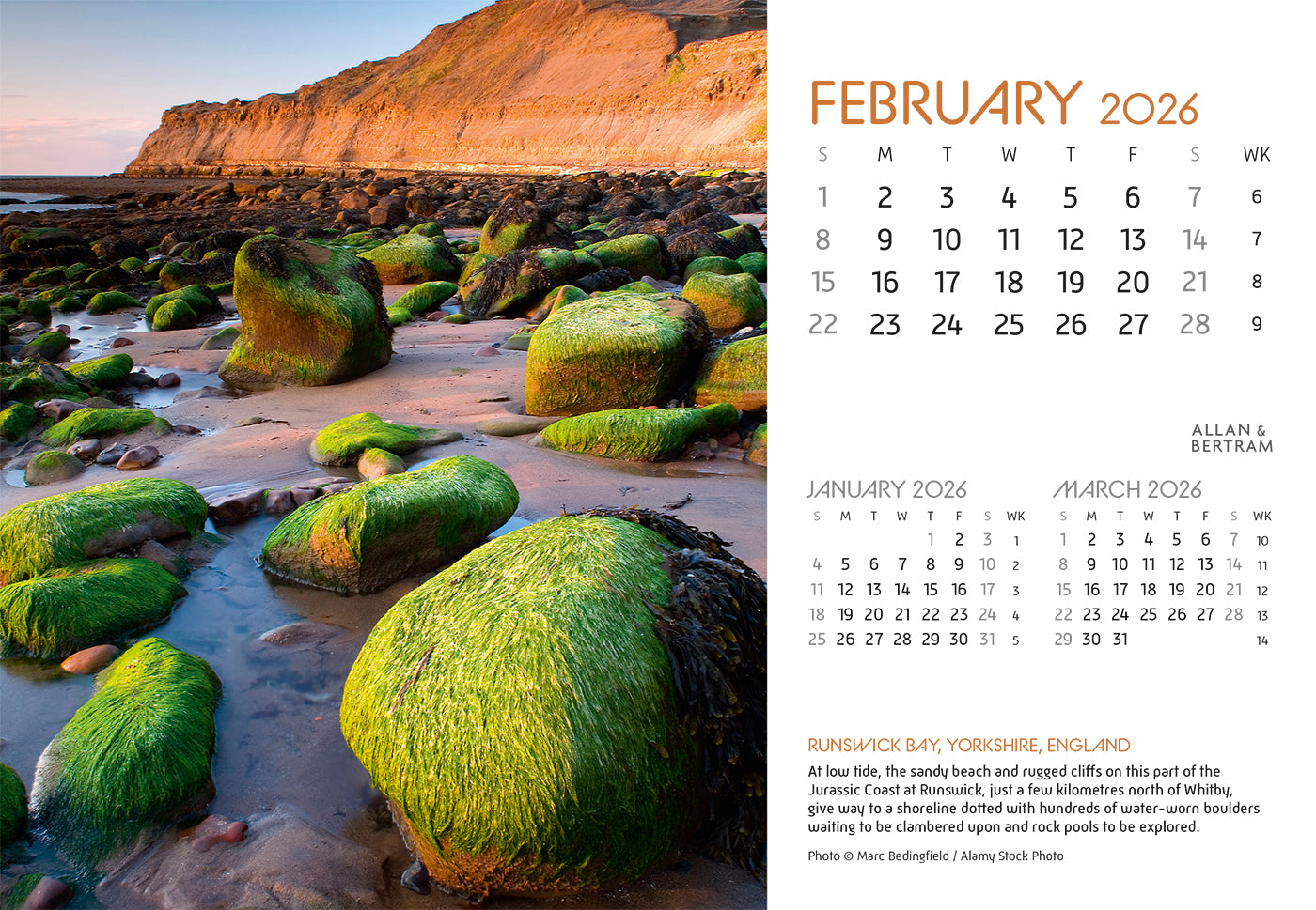 Coastal Path Midi Desk Calendar