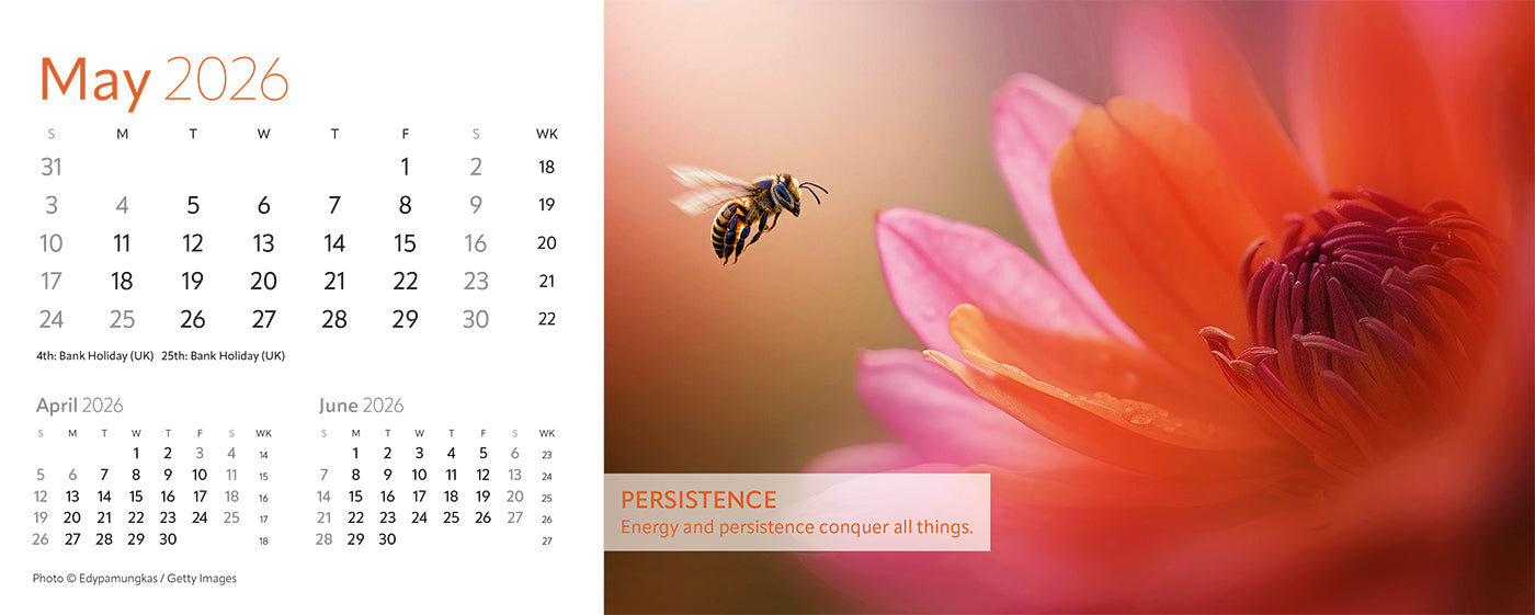Earth Live Desk Calendar