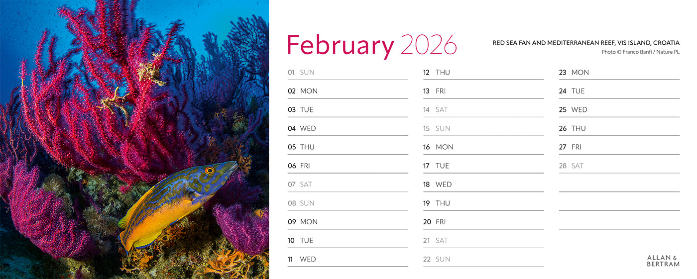 Earth Live Desk Calendar