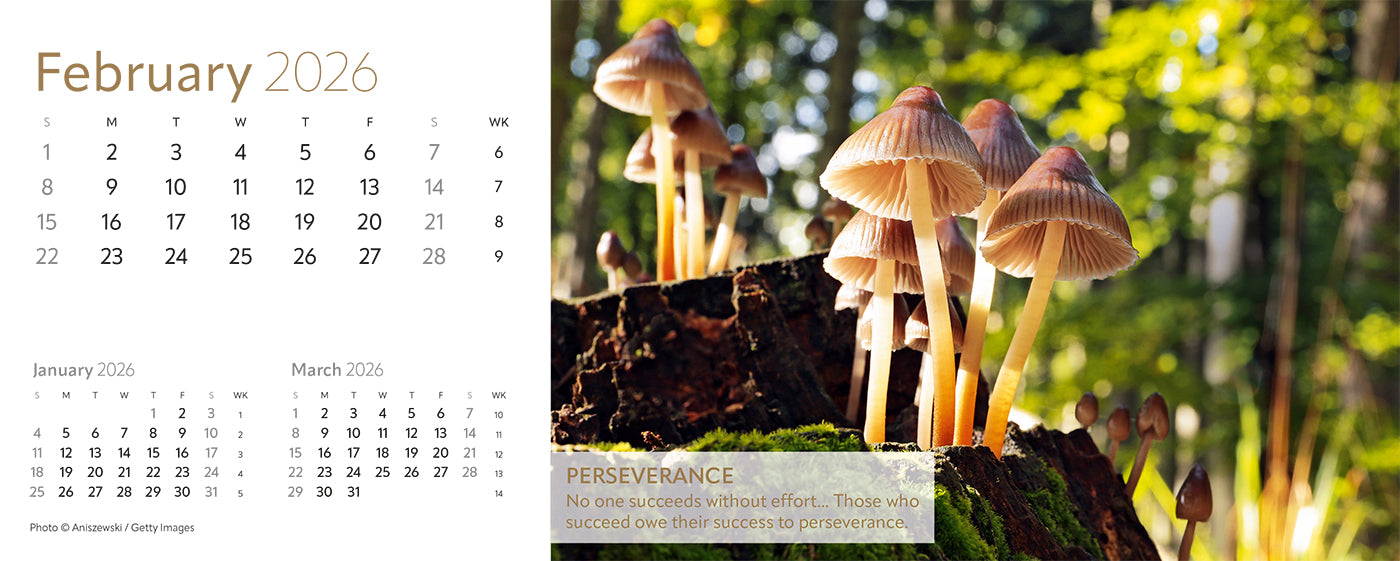 Earth Live Desk Calendar