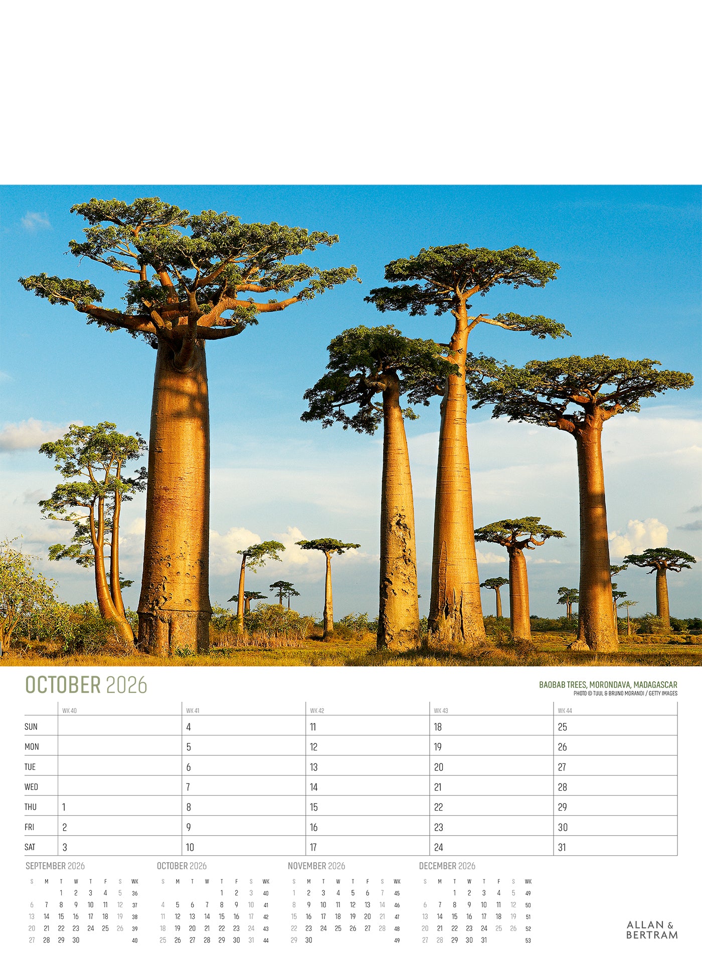 Explorer Junior Wall Calendar