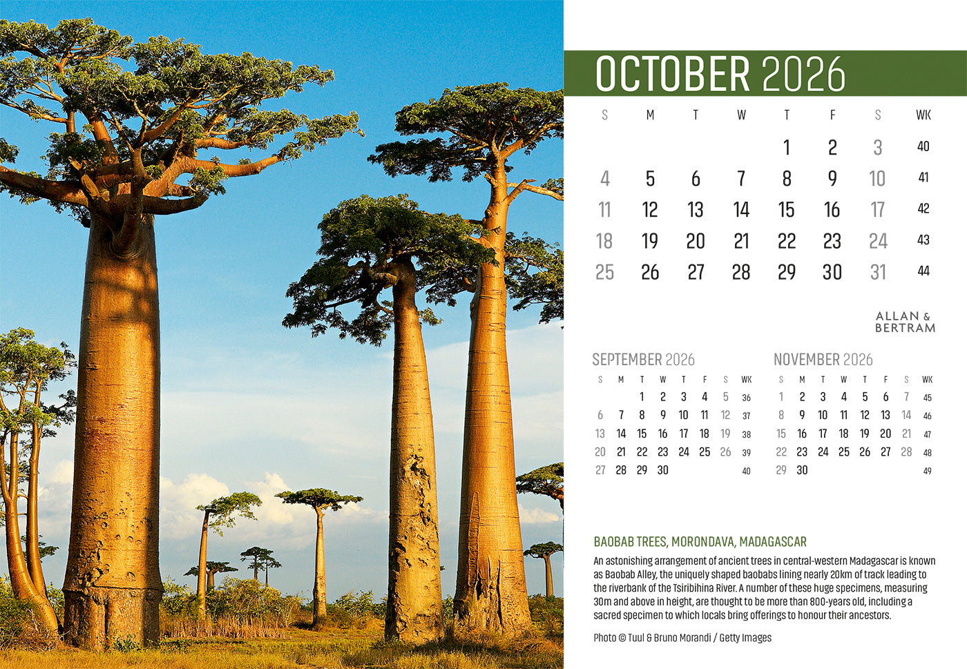 Explorer Midi Desk Calendar