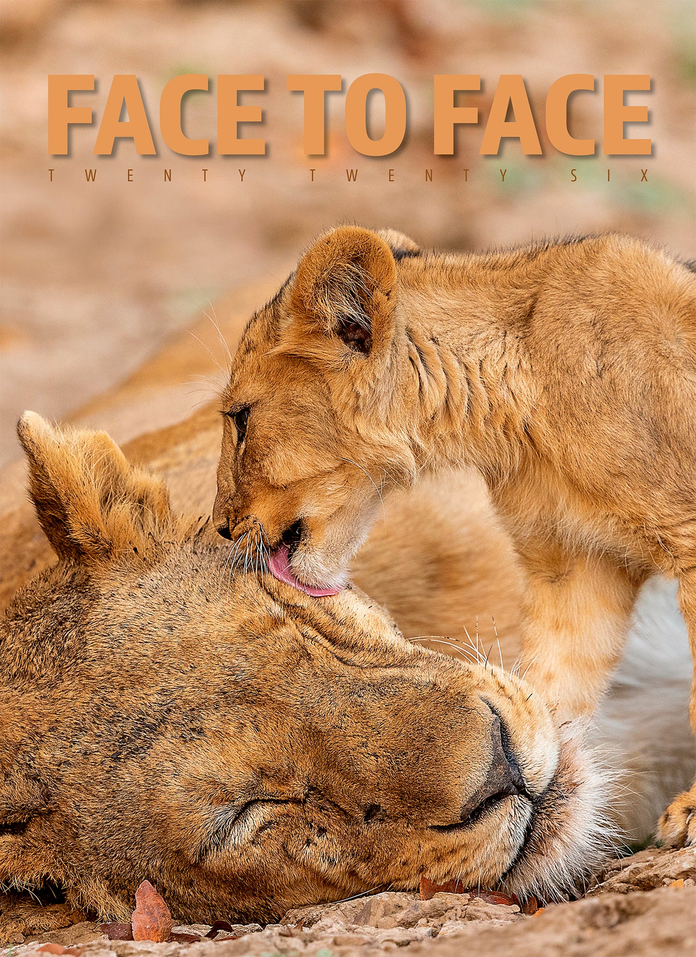 Face to Face Junior Wall Calendar