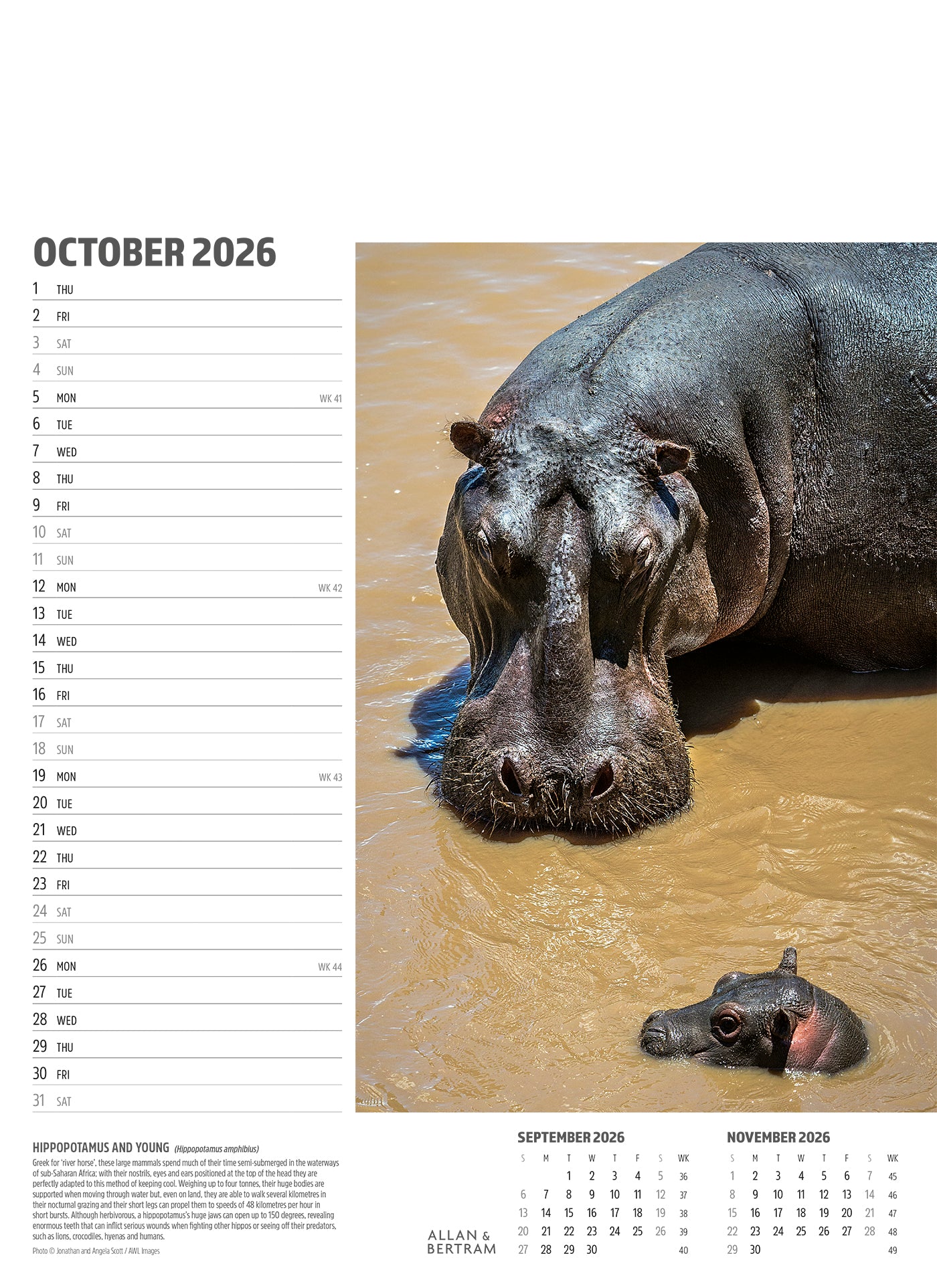 Face to Face Junior Wall Calendar