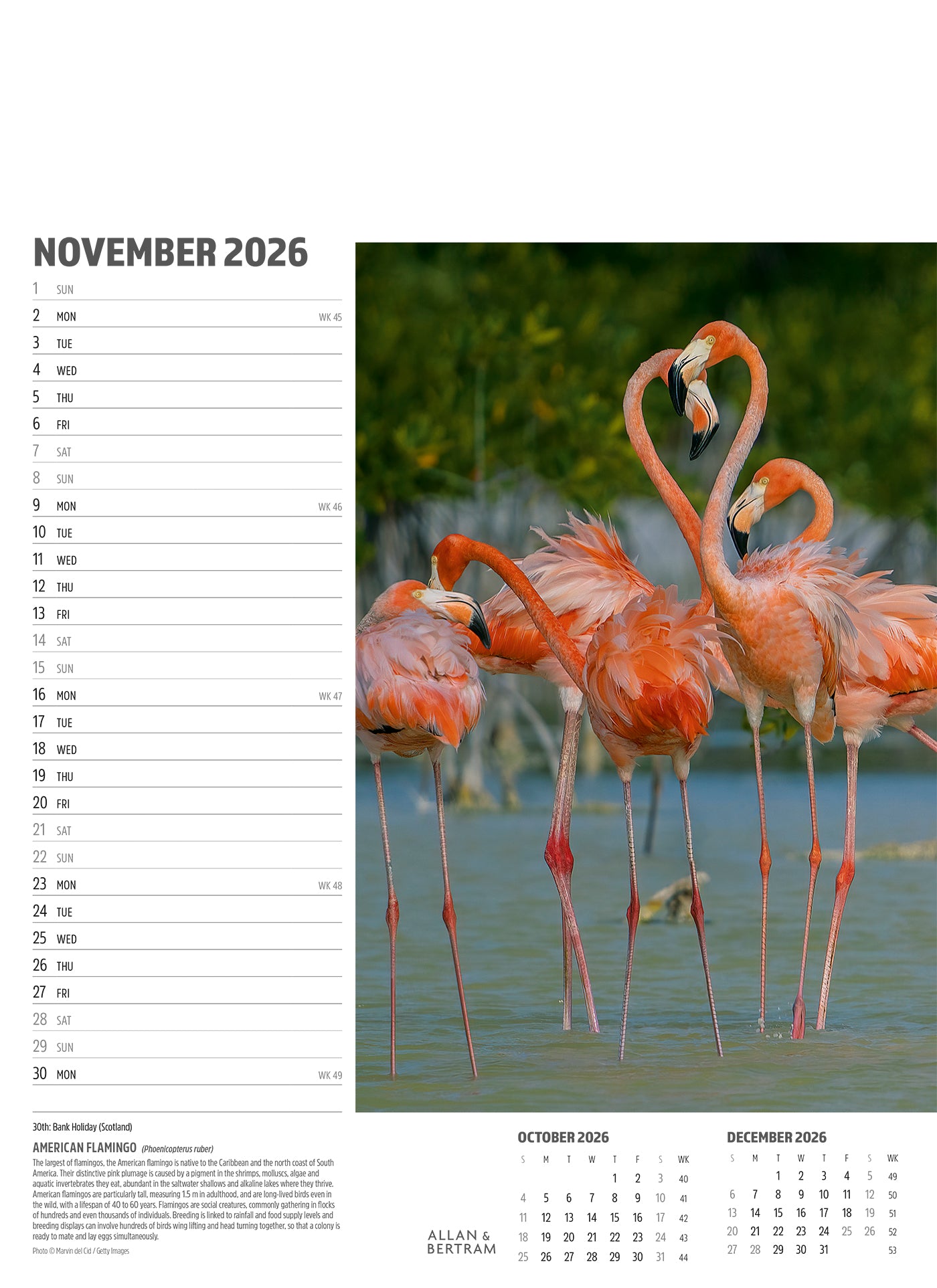 Face to Face Junior Wall Calendar