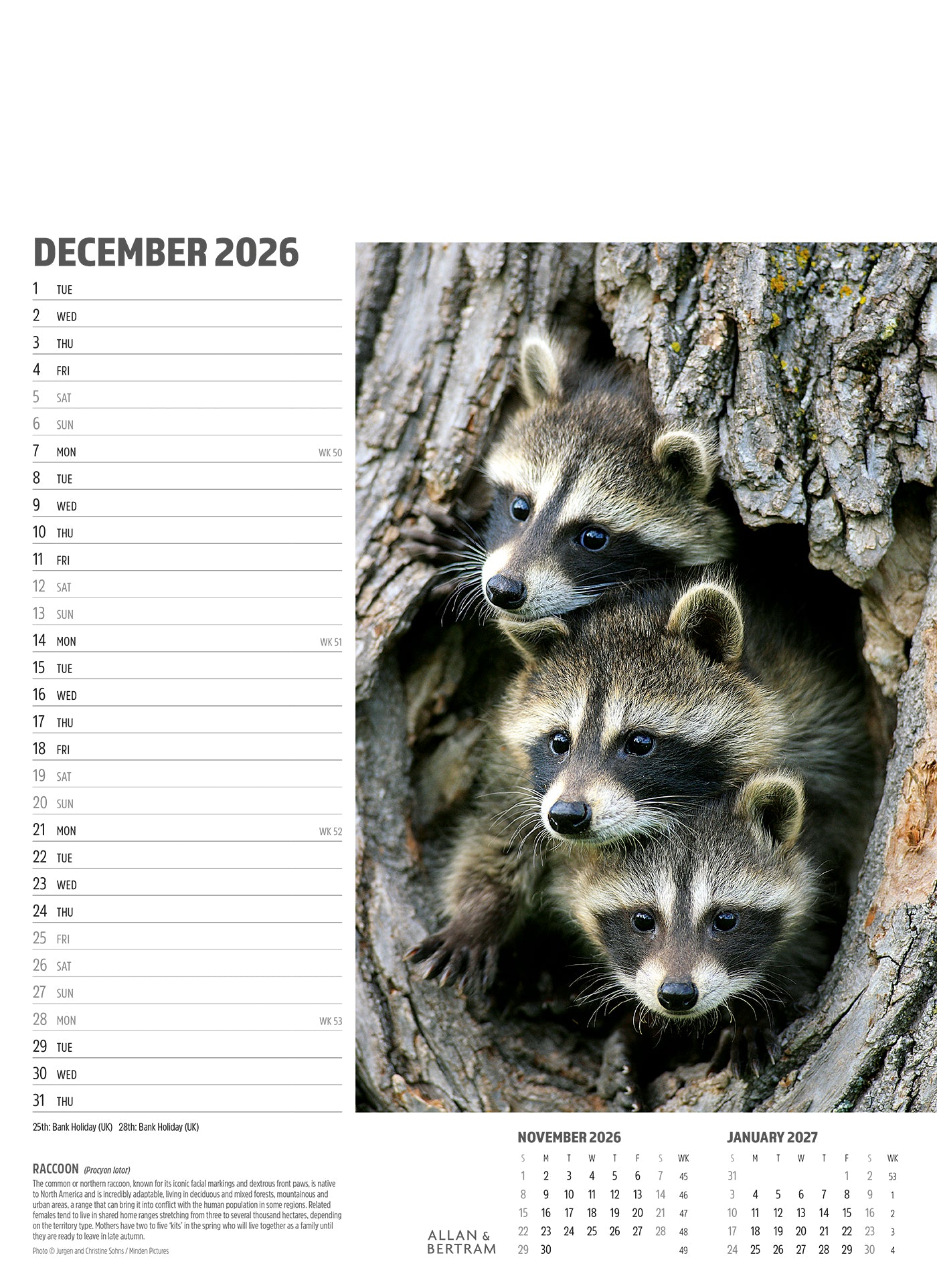 Face to Face Junior Wall Calendar
