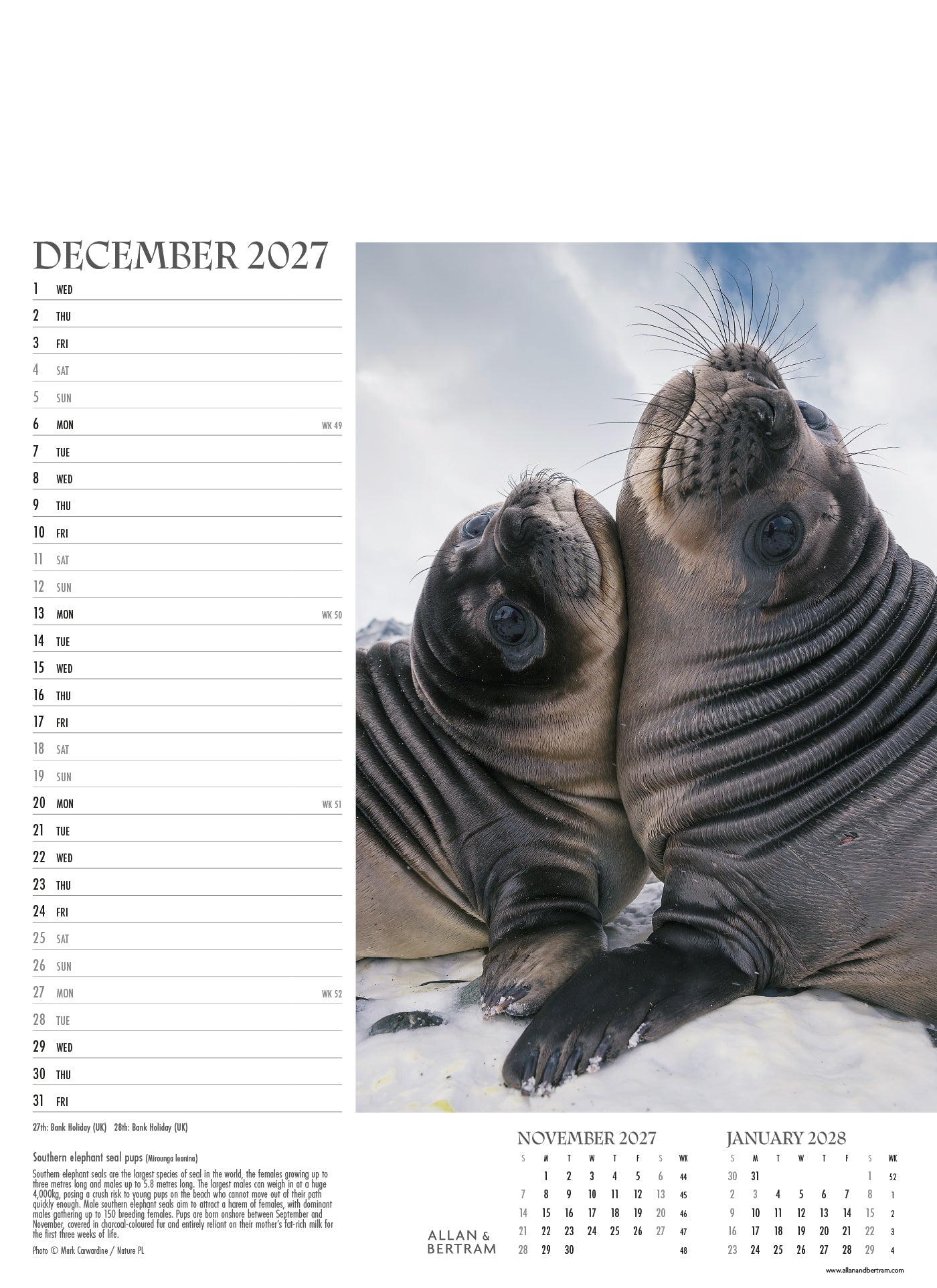 Face to Face Junior Wall Calendar
