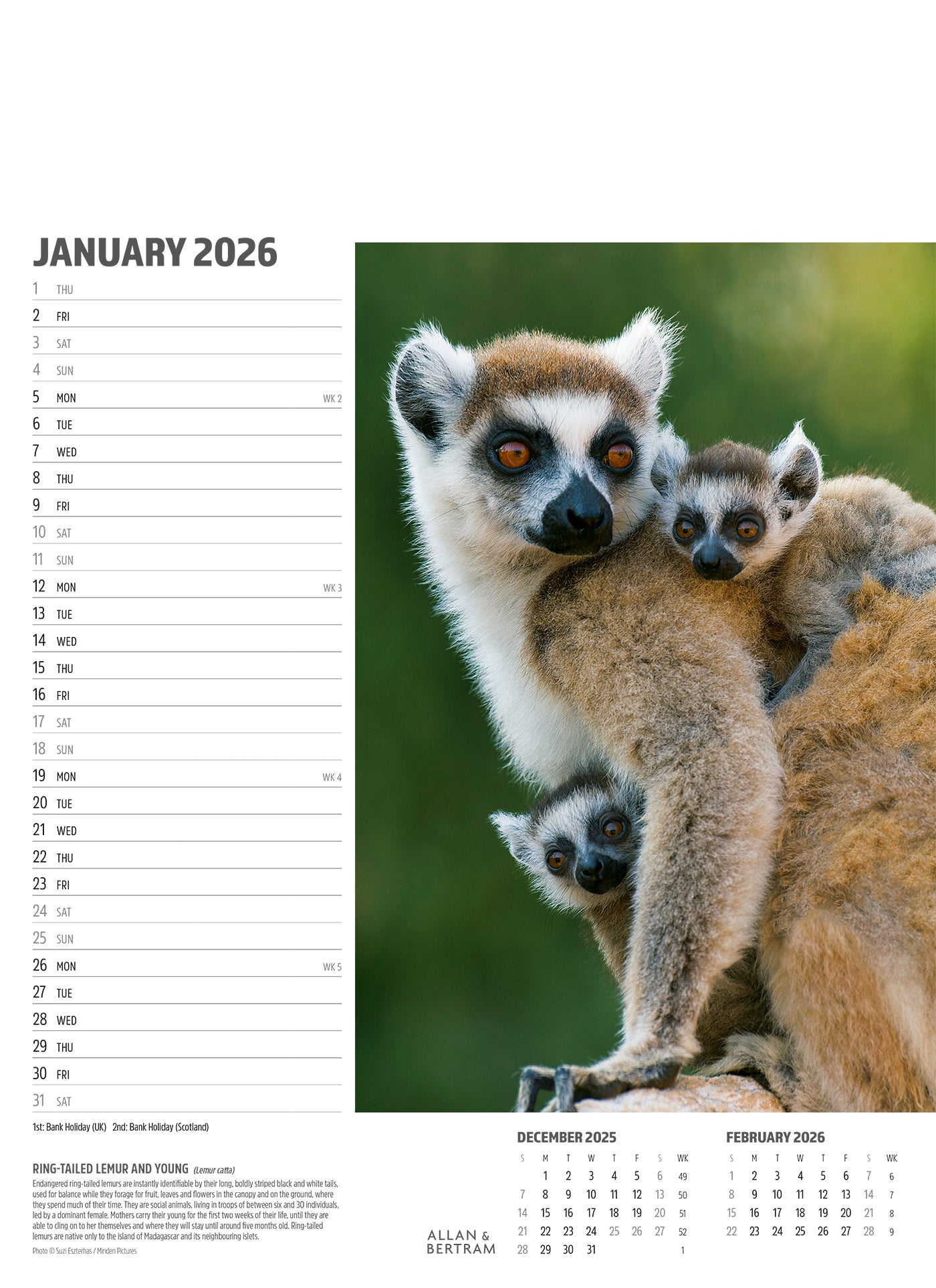 Face to Face Junior Wall Calendar