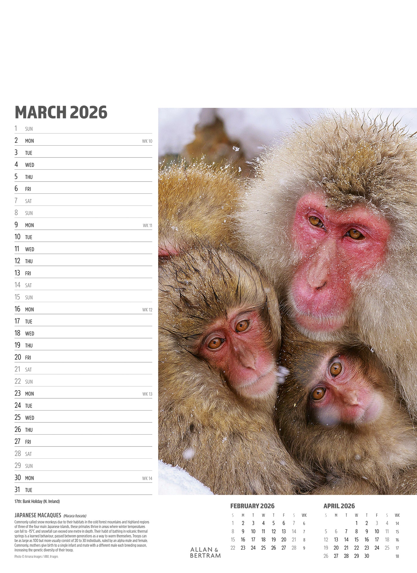 Face to Face Junior Wall Calendar