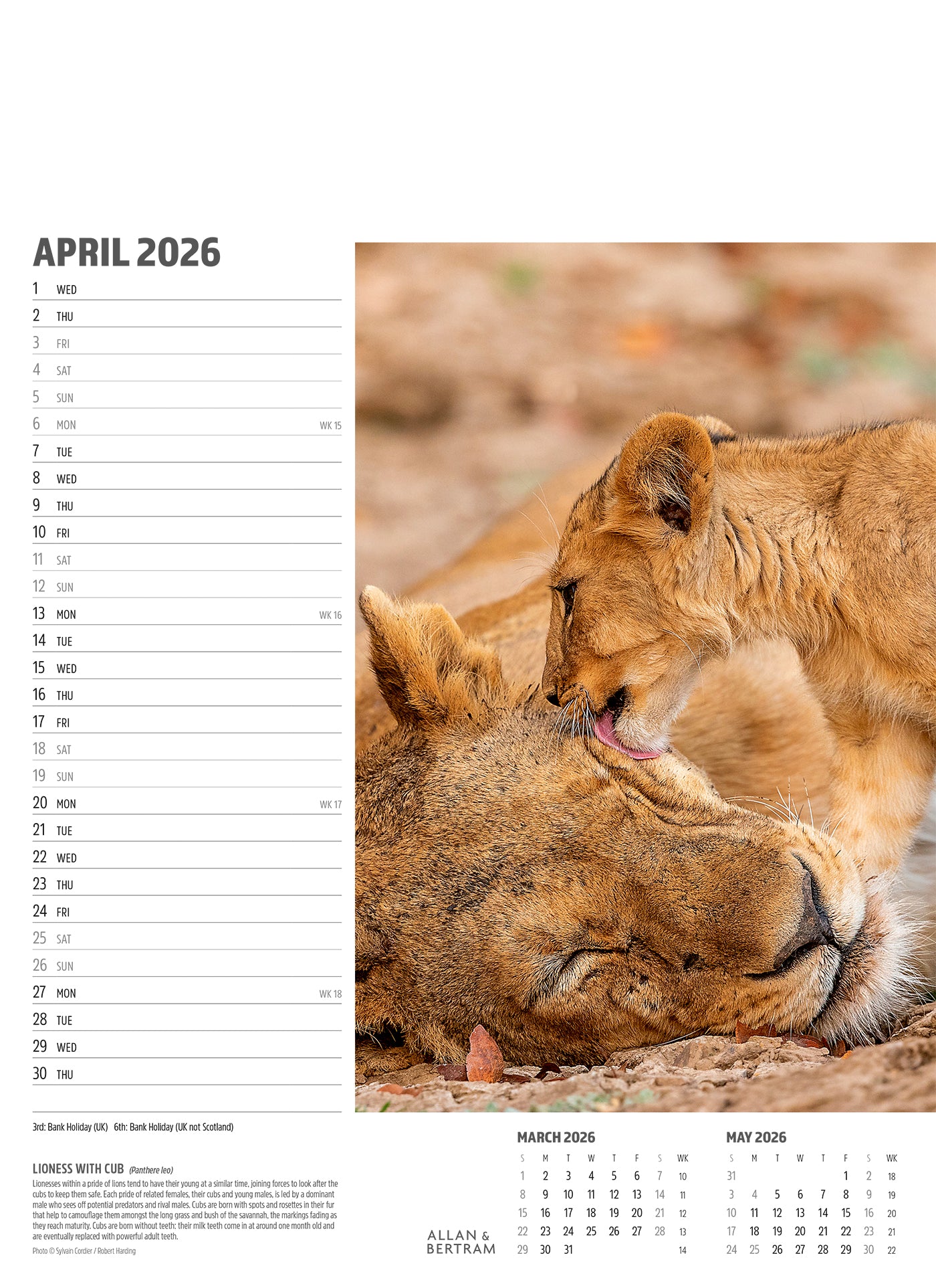 Face to Face Junior Wall Calendar