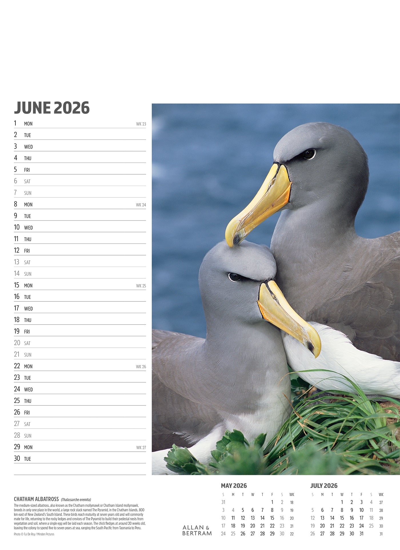 Face to Face Junior Wall Calendar