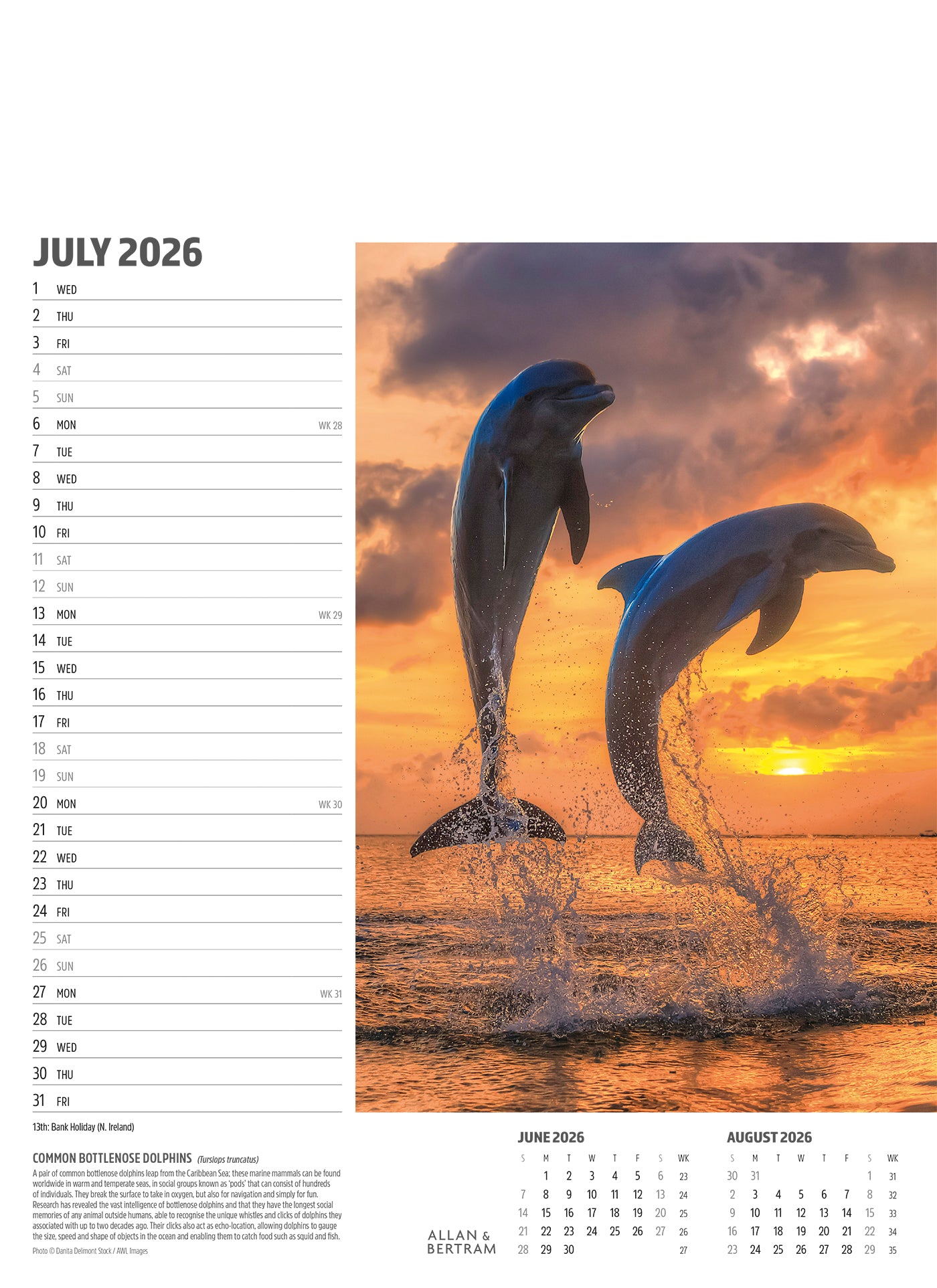 Face to Face Junior Wall Calendar