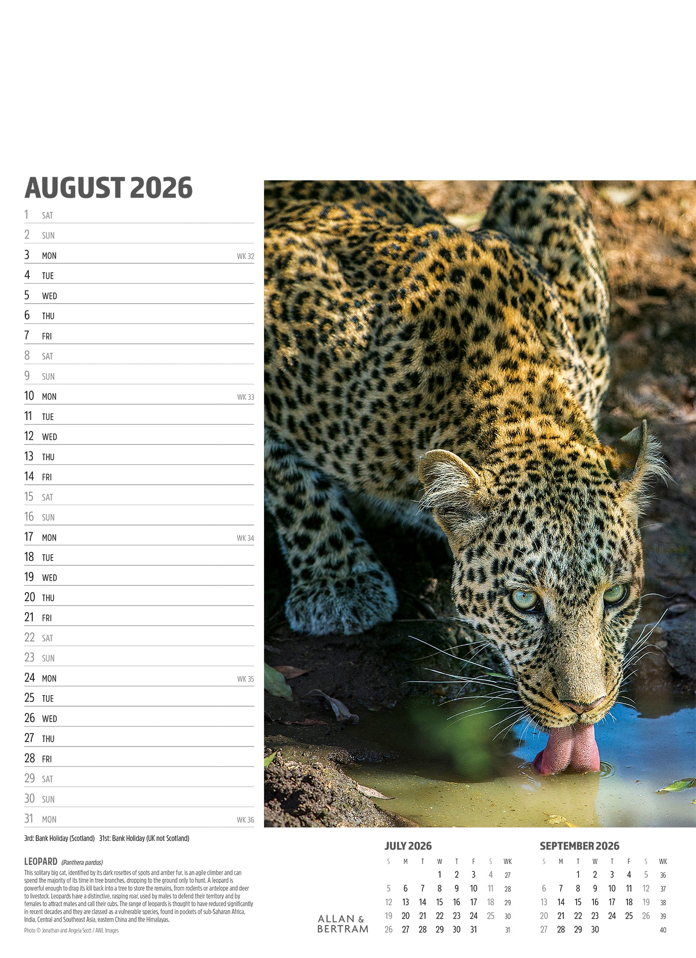Face to Face Junior Wall Calendar