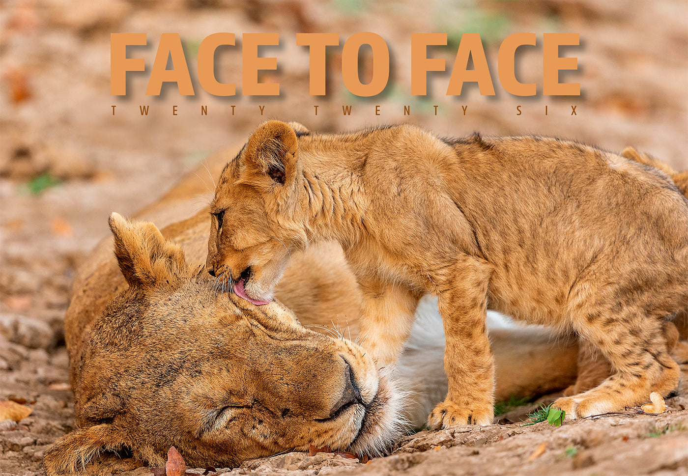 Face to Face Midi Desk Calendar
