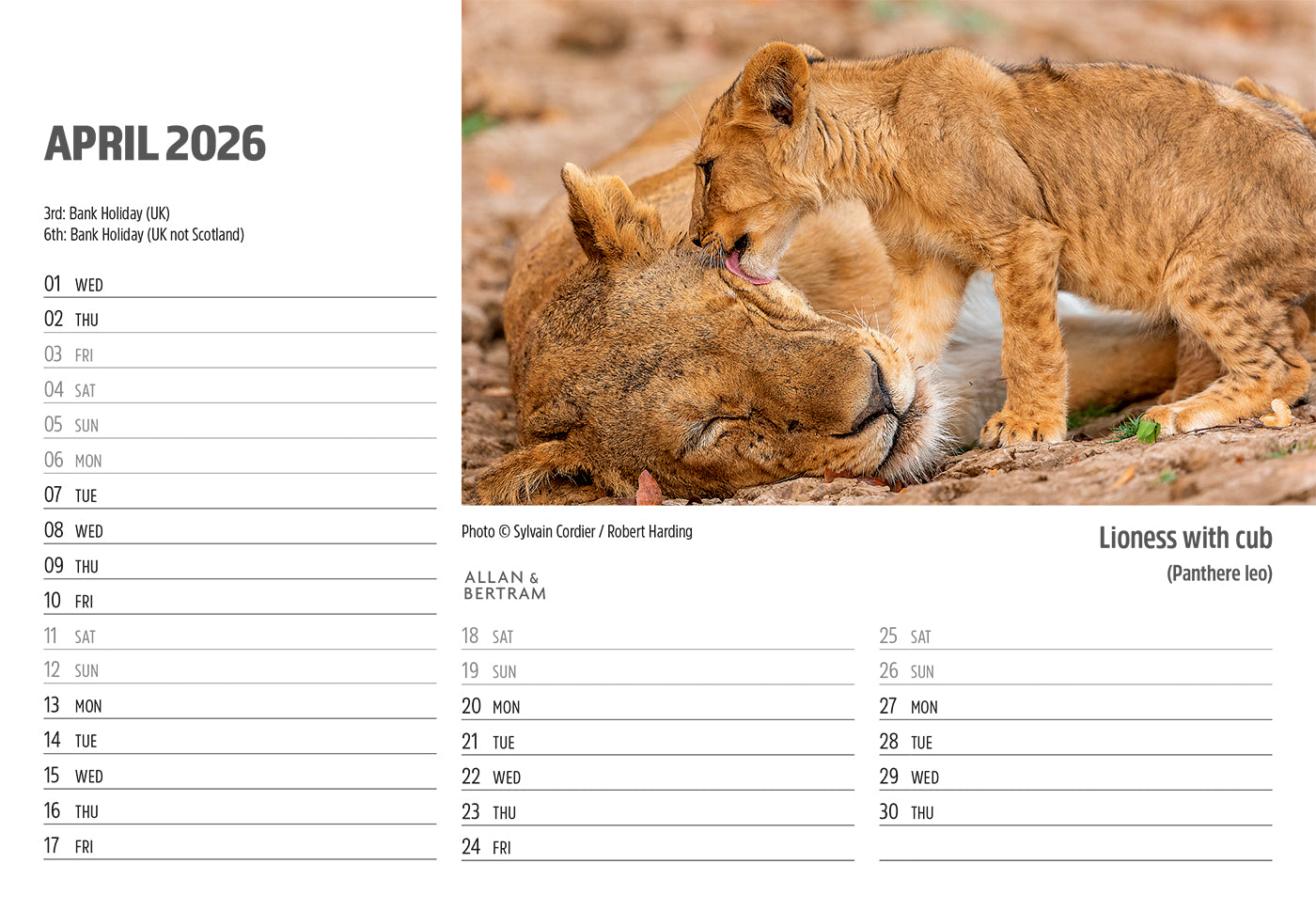 Face to Face Midi Desk Calendar