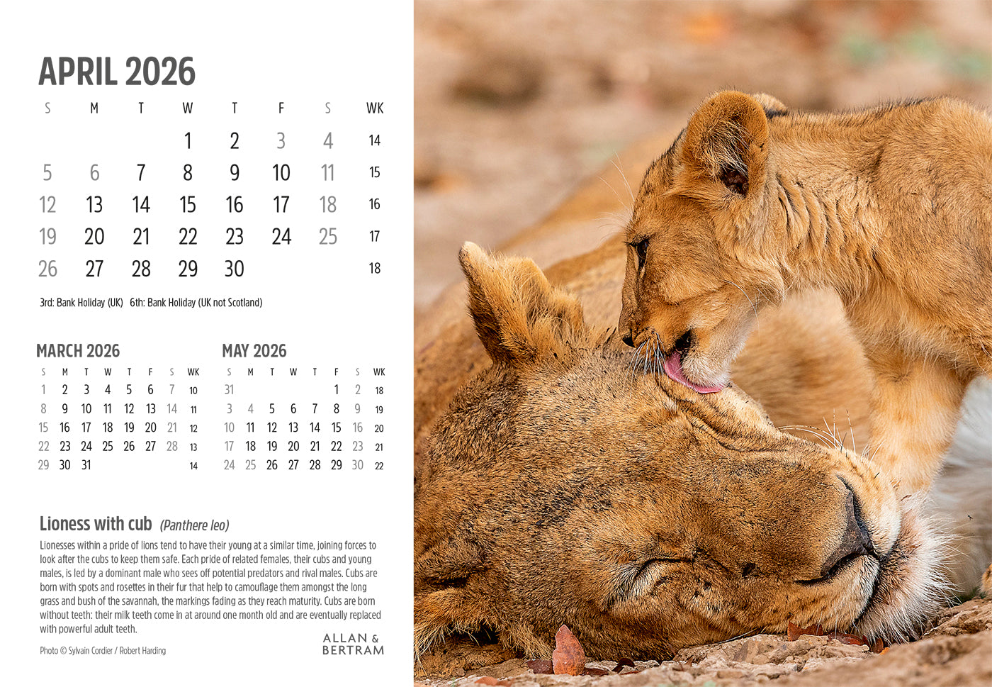 Face to Face Midi Desk Calendar