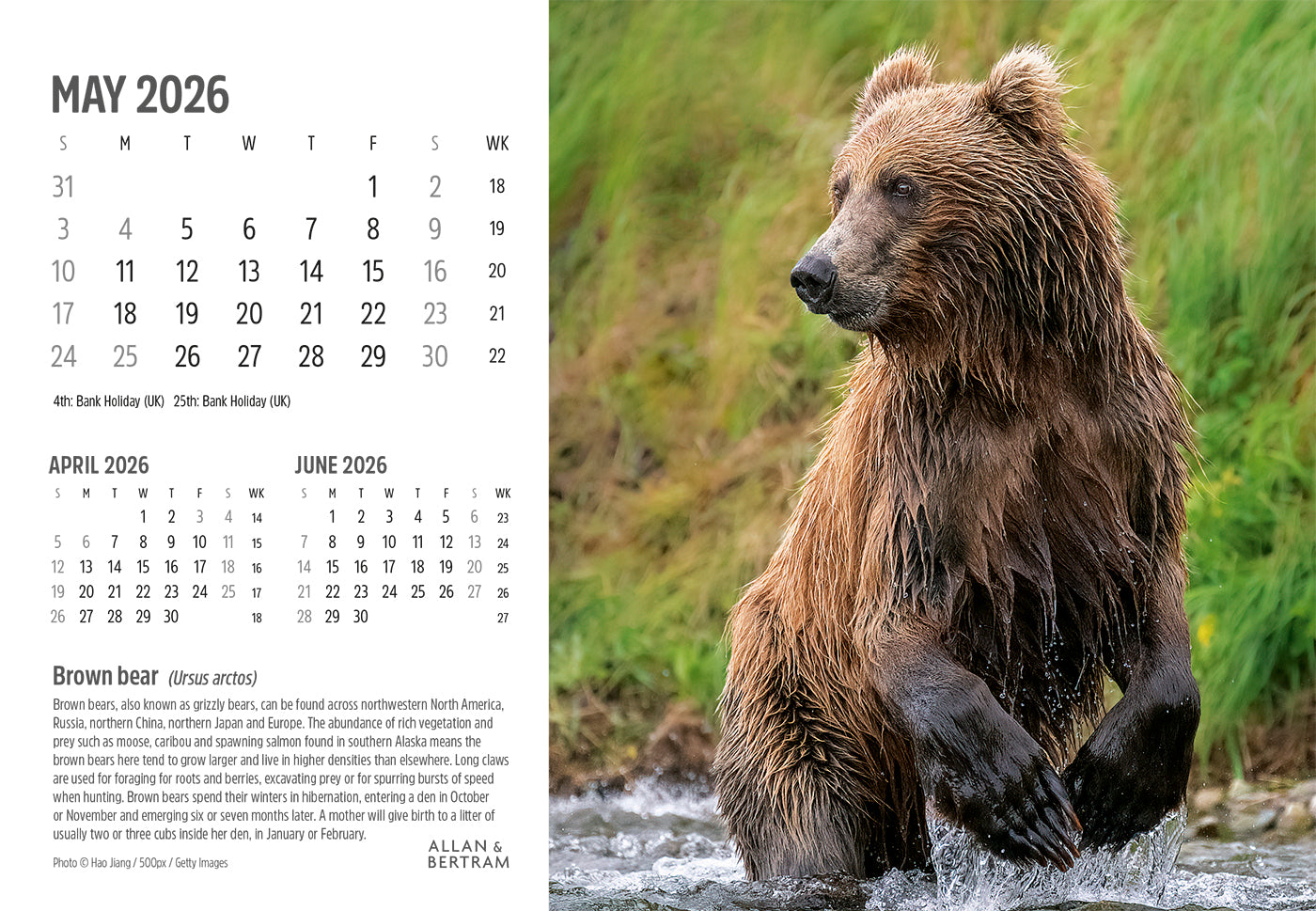 Face to Face Midi Desk Calendar