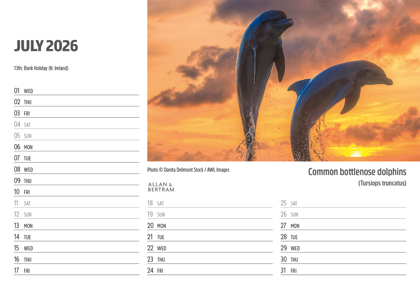 Face to Face Midi Desk Calendar