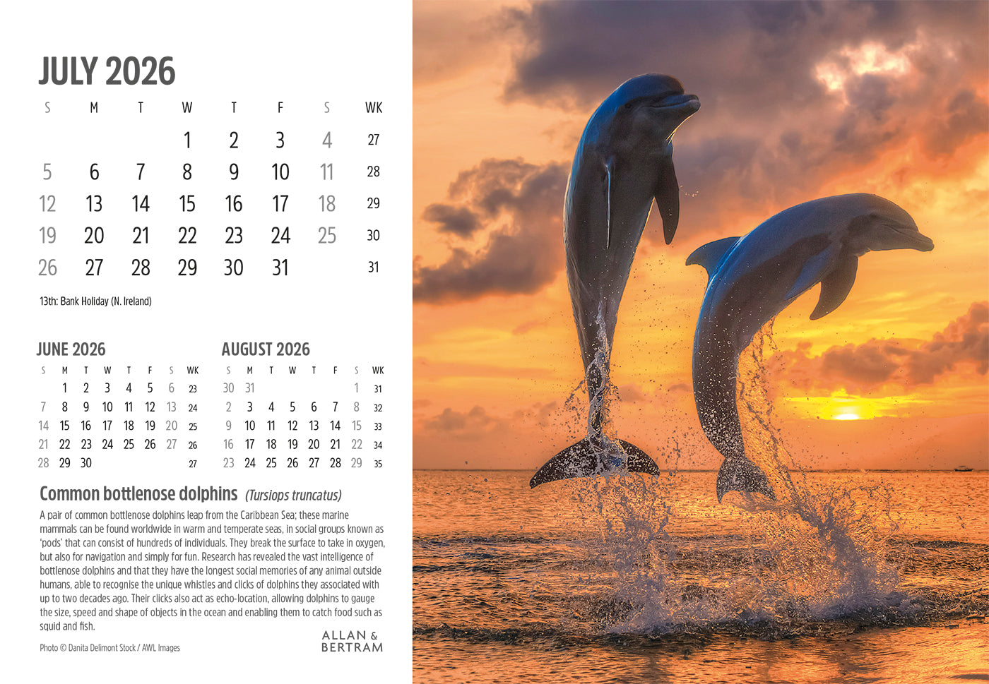 Face to Face Midi Desk Calendar