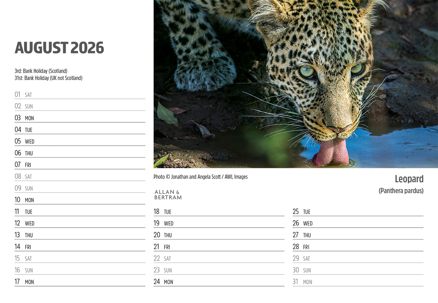 Face to Face Midi Desk Calendar