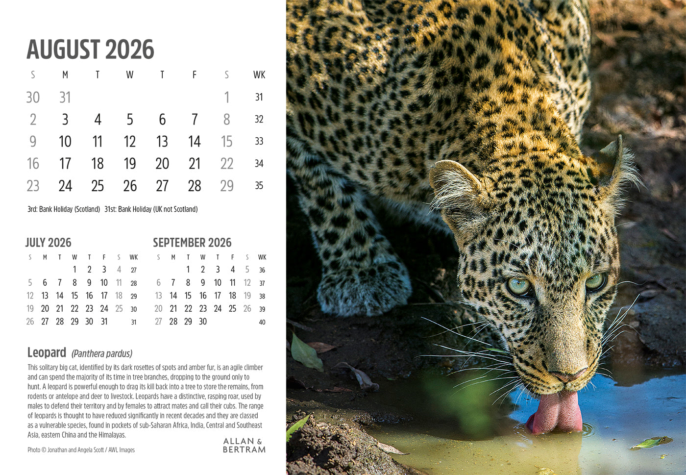 Face to Face Midi Desk Calendar