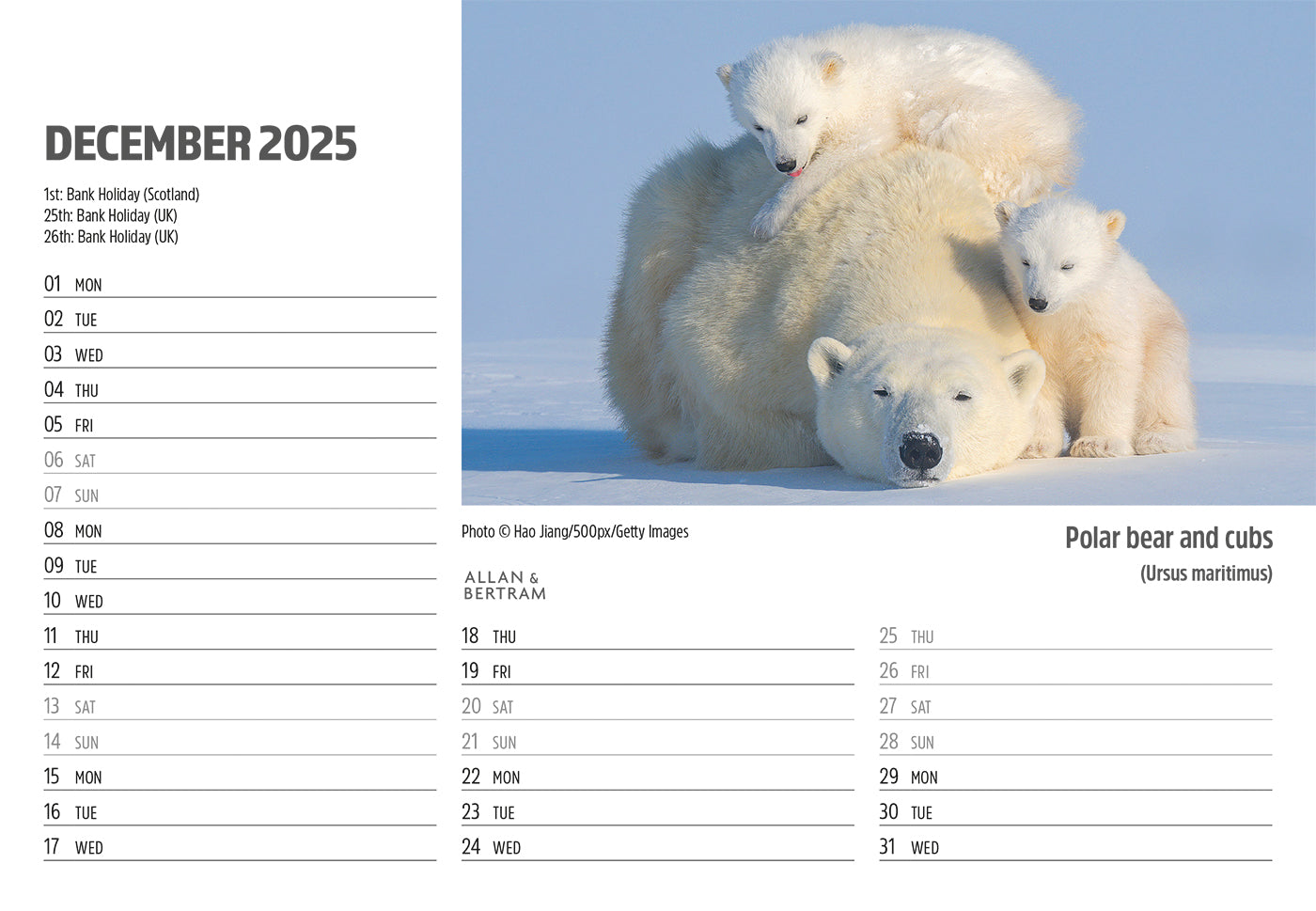Face to Face Midi Desk Calendar