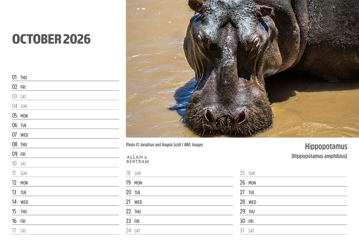 Face to Face Midi Desk Calendar