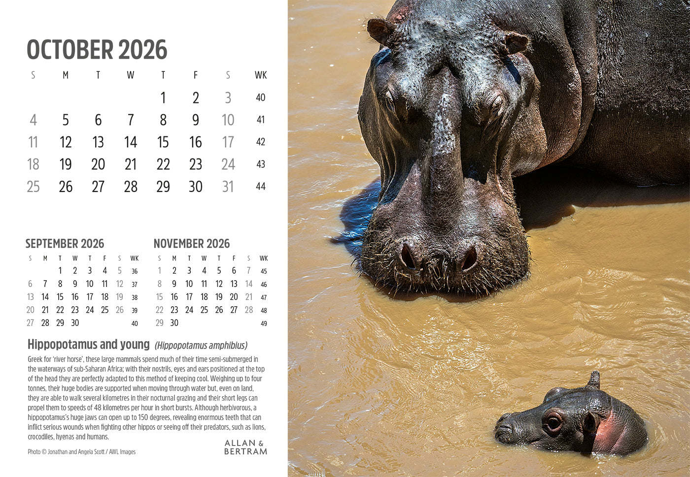 Face to Face Midi Desk Calendar