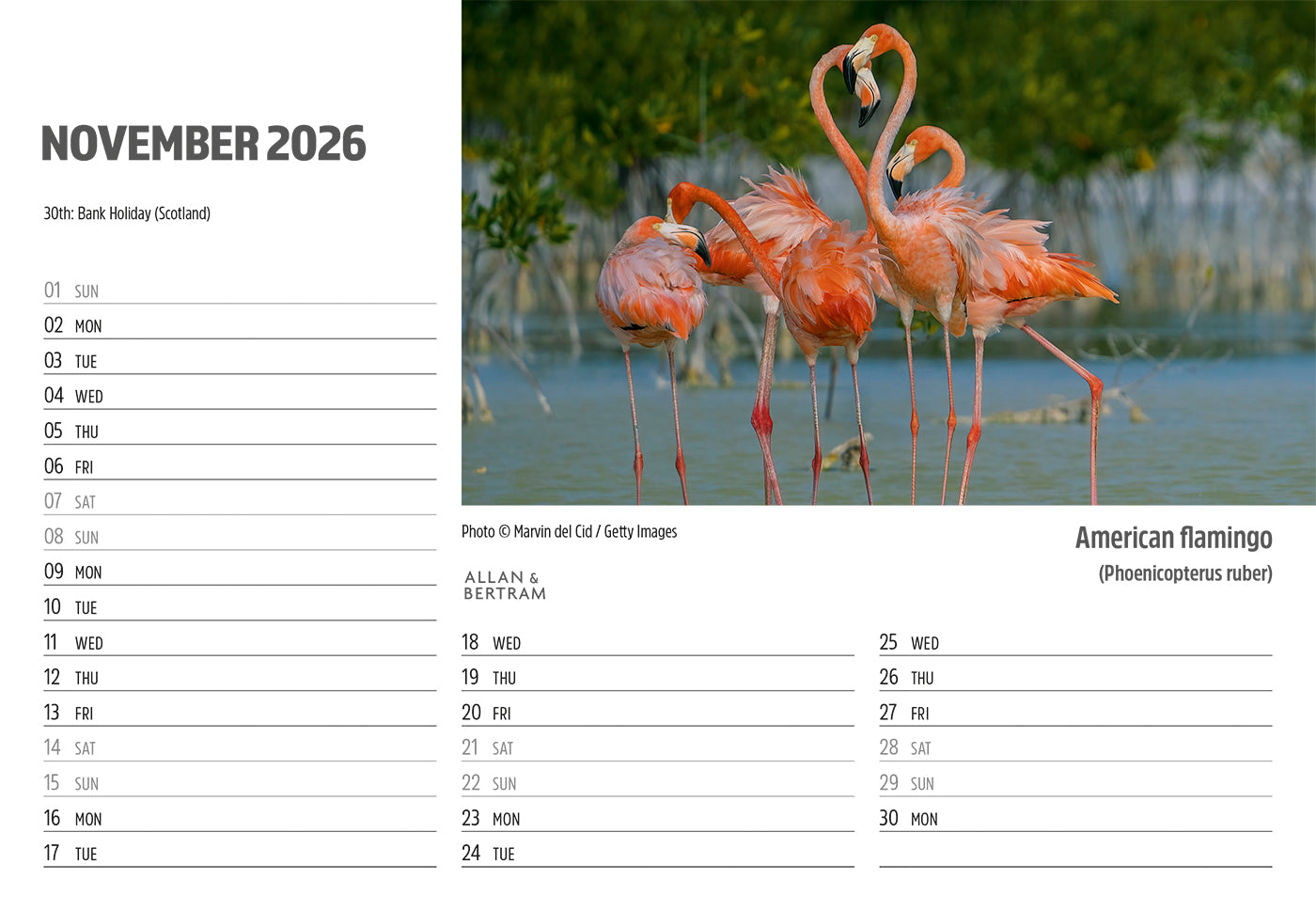 Face to Face Midi Desk Calendar