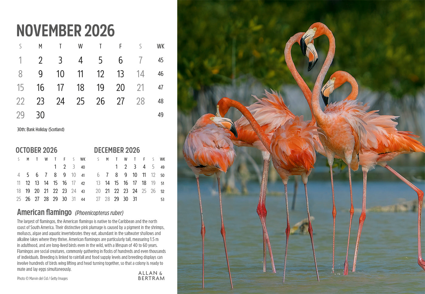 Face to Face Midi Desk Calendar