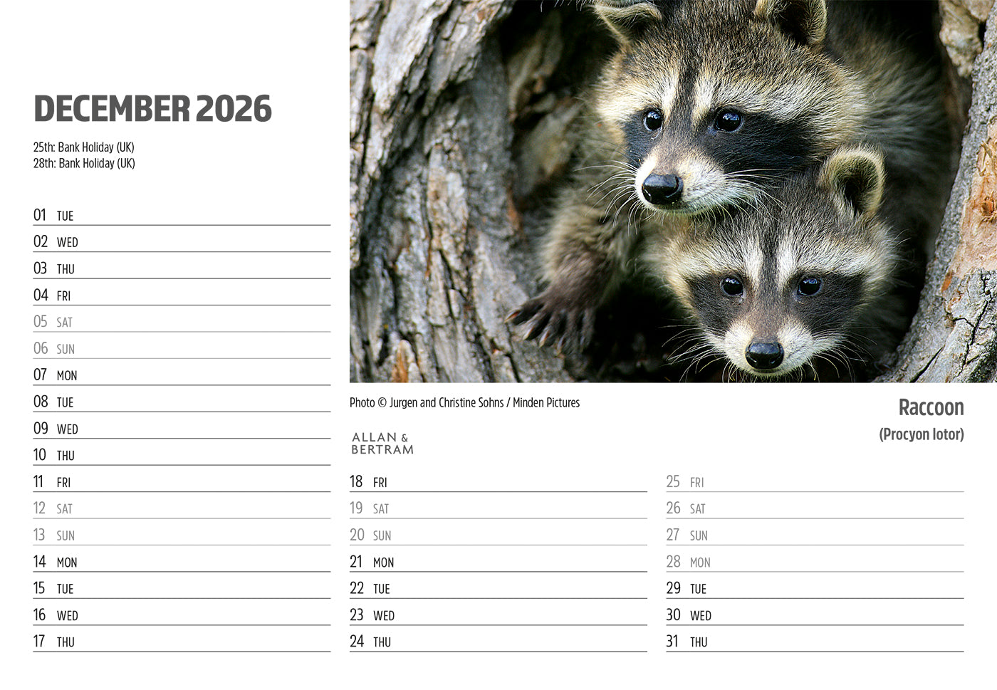 Face to Face Midi Desk Calendar