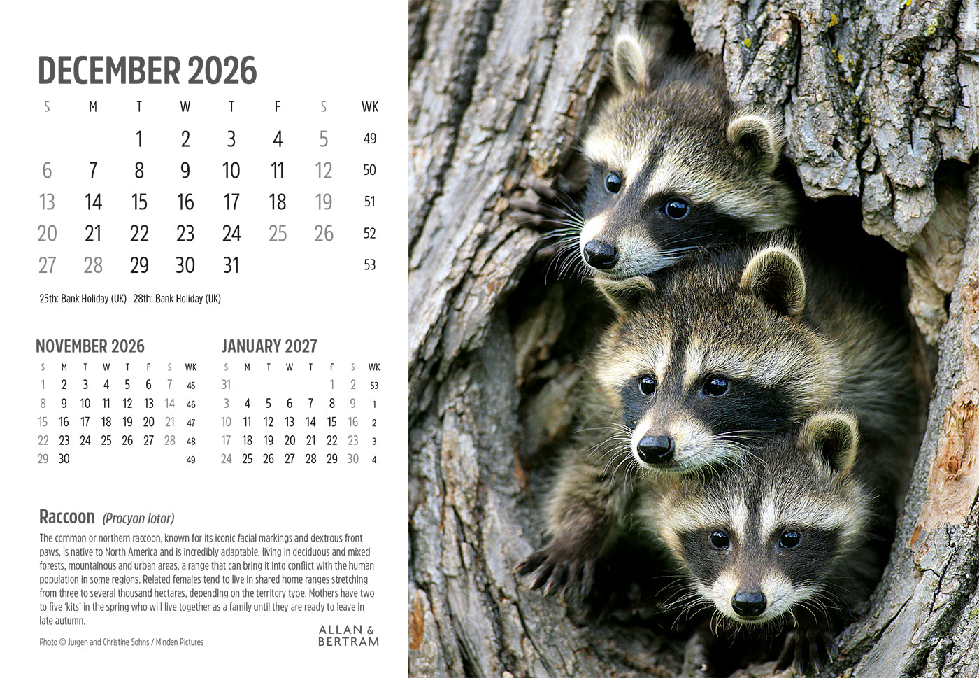 Face to Face Midi Desk Calendar