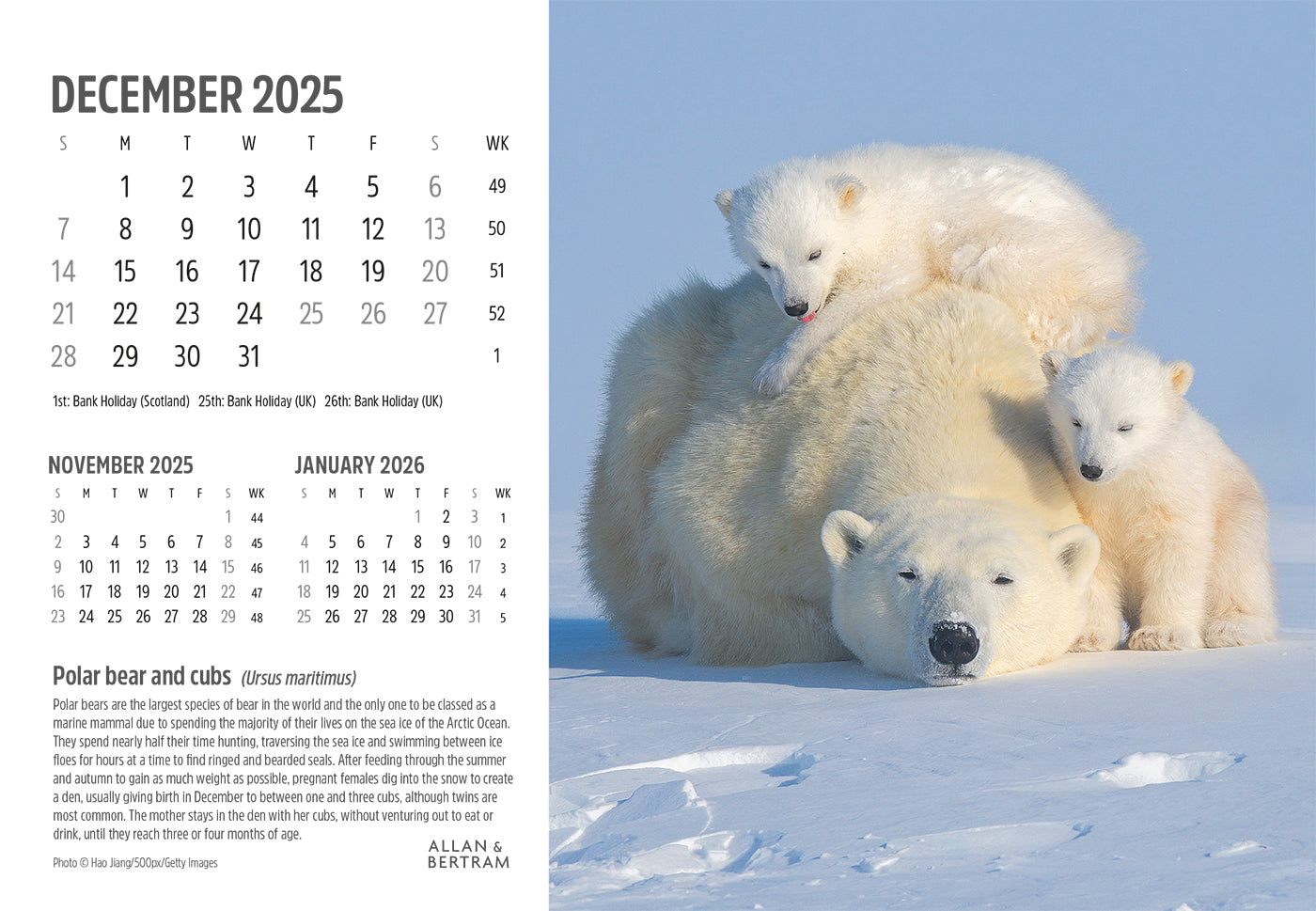 Face to Face Midi Desk Calendar