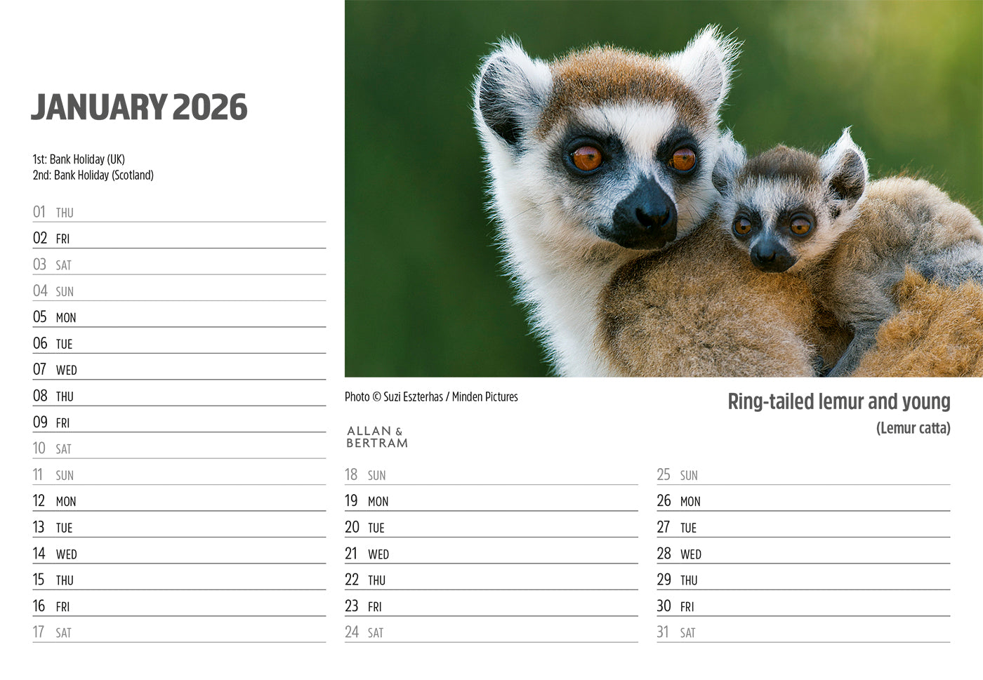Face to Face Midi Desk Calendar