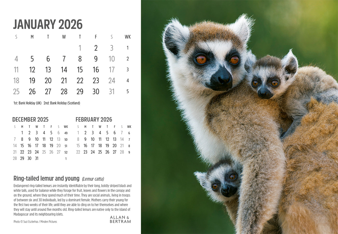 Face to Face Midi Desk Calendar