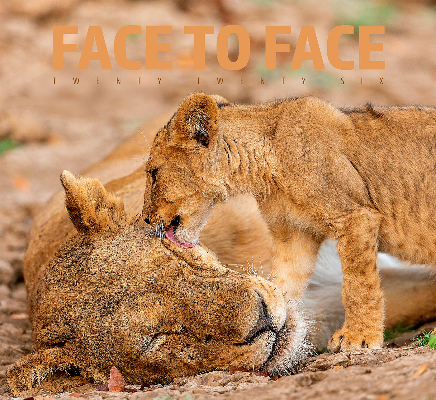 Face to Face Wall Calendar