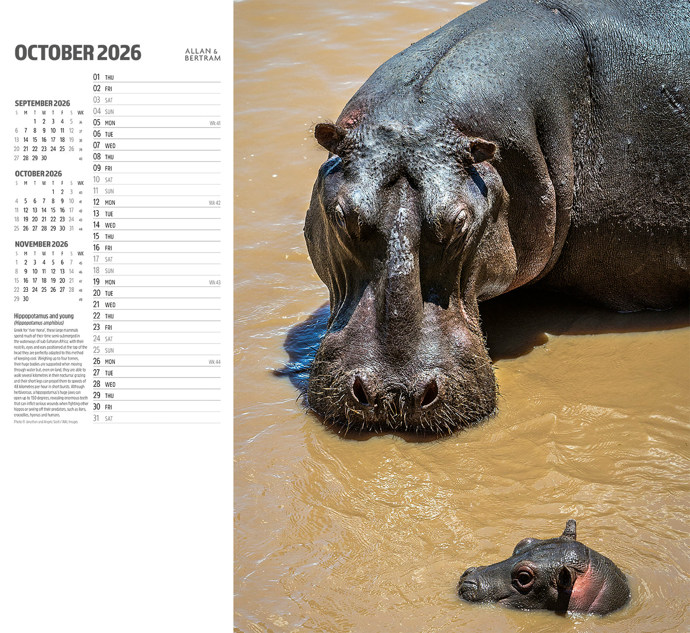 Face to Face Wall Calendar