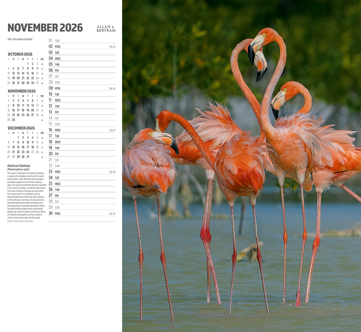 Face to Face Wall Calendar