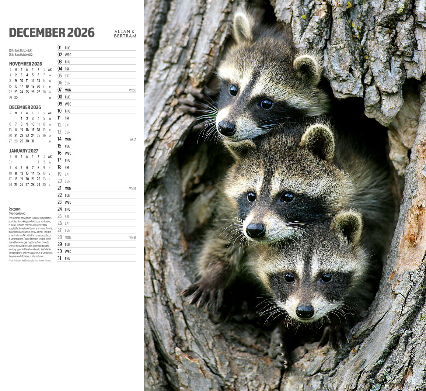 Face to Face Wall Calendar