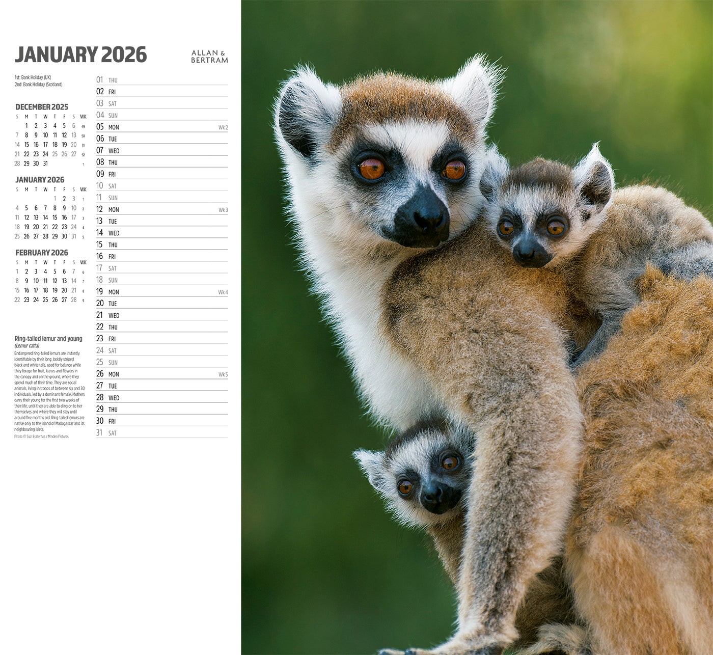 Face to Face Wall Calendar