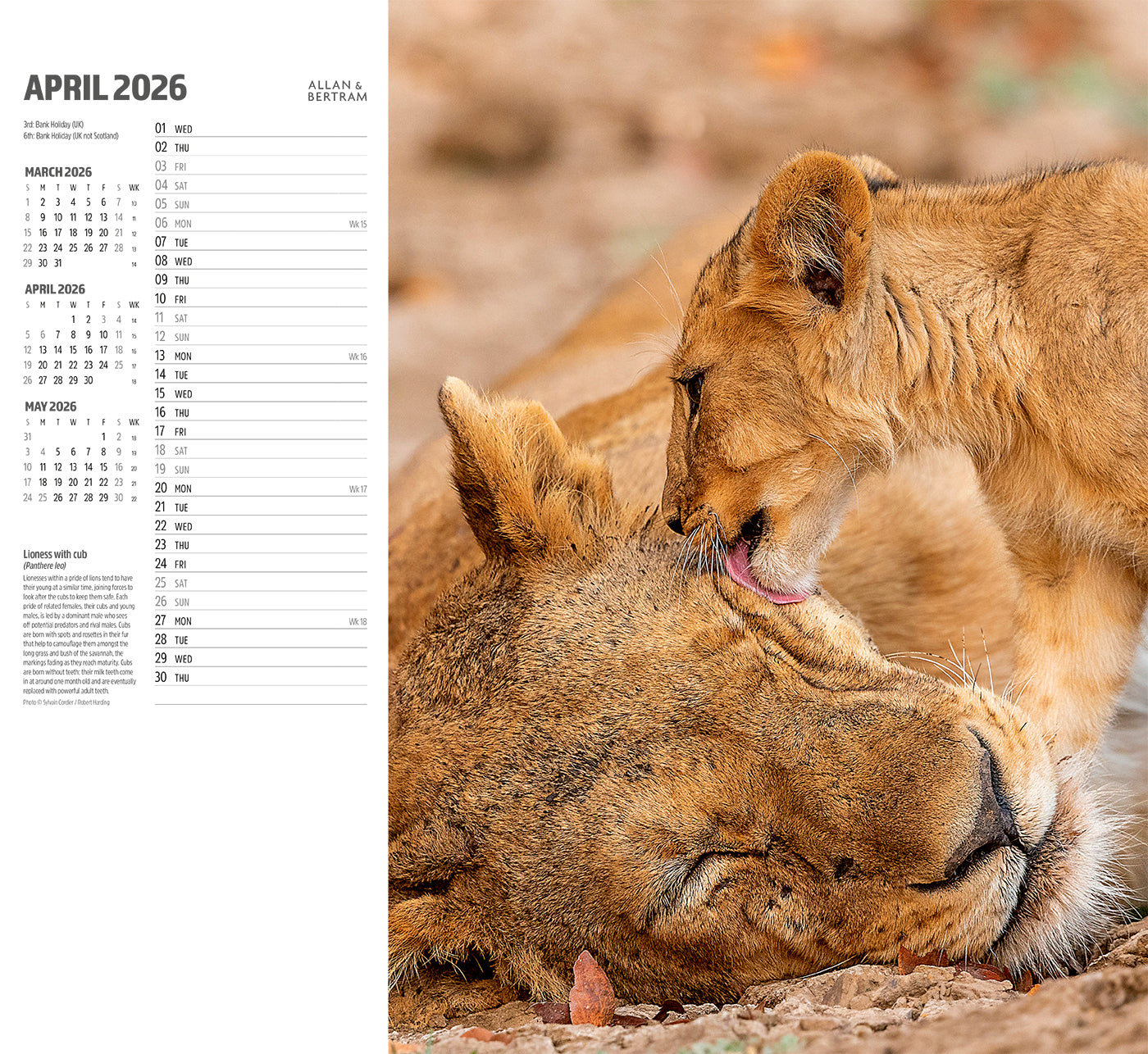 Face to Face Wall Calendar