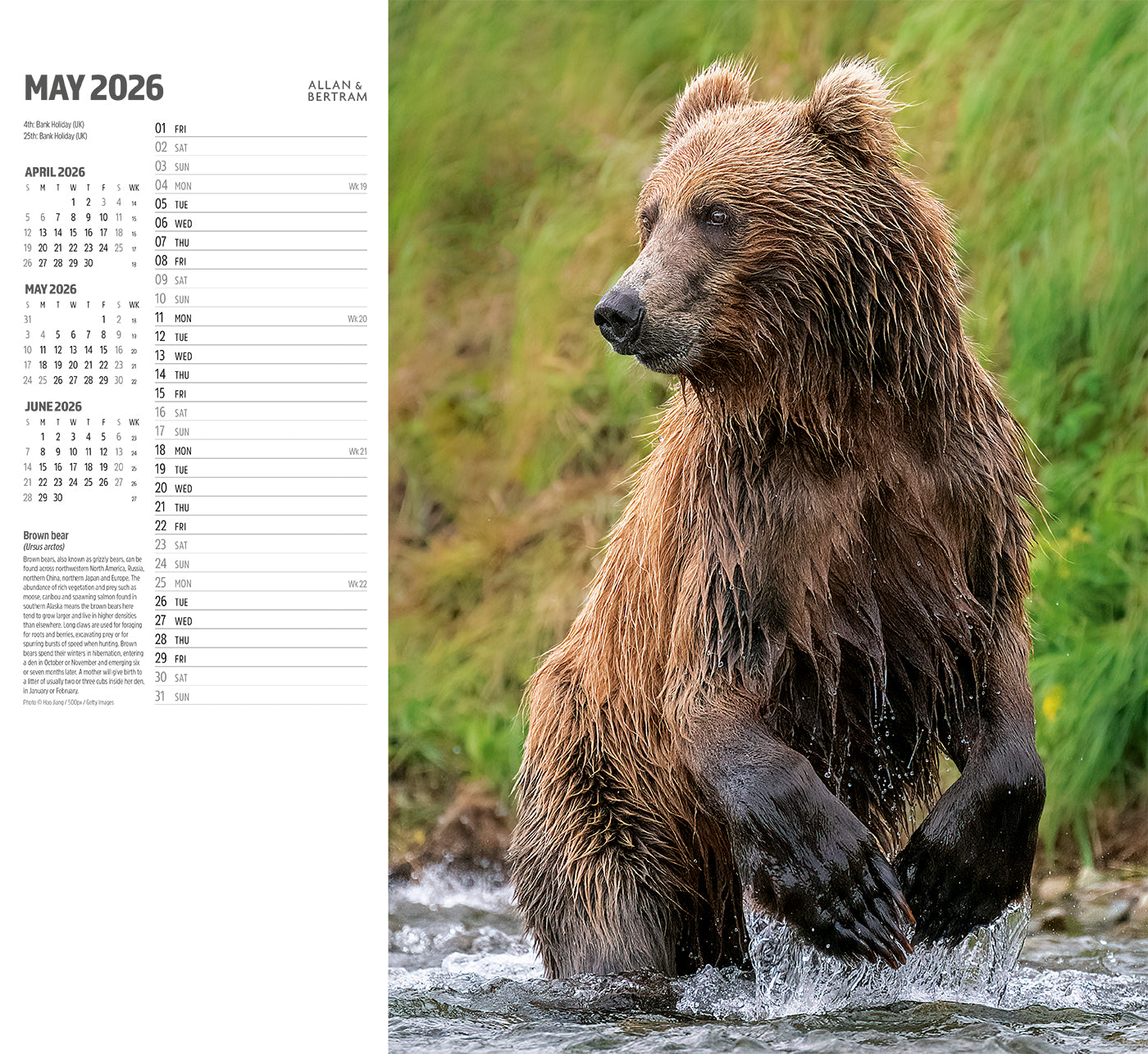 Face to Face Wall Calendar