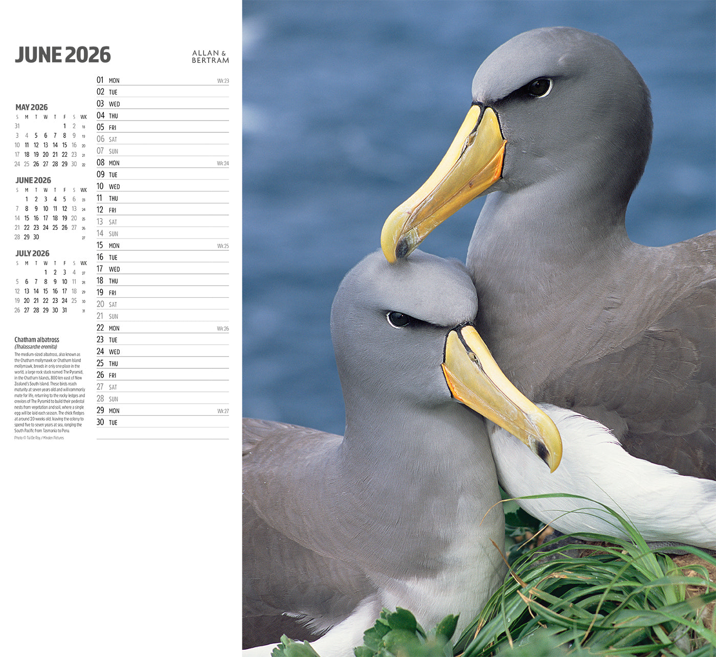 Face to Face Wall Calendar