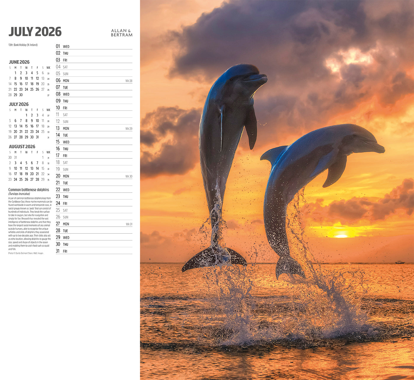 Face to Face Wall Calendar