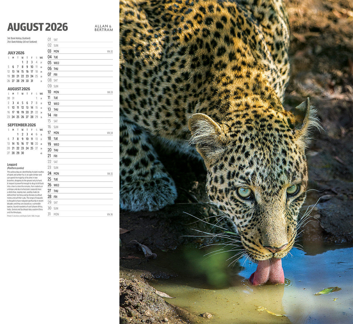 Face to Face Wall Calendar