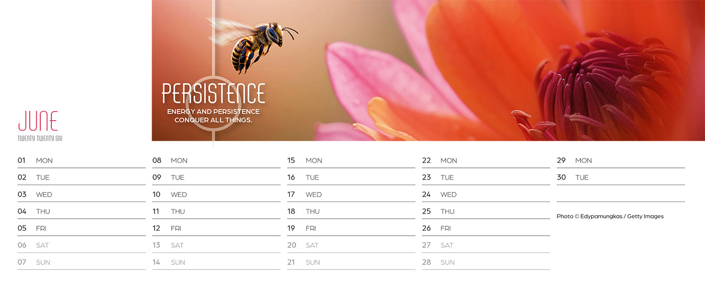 Inspired Thinking Desk Calendar