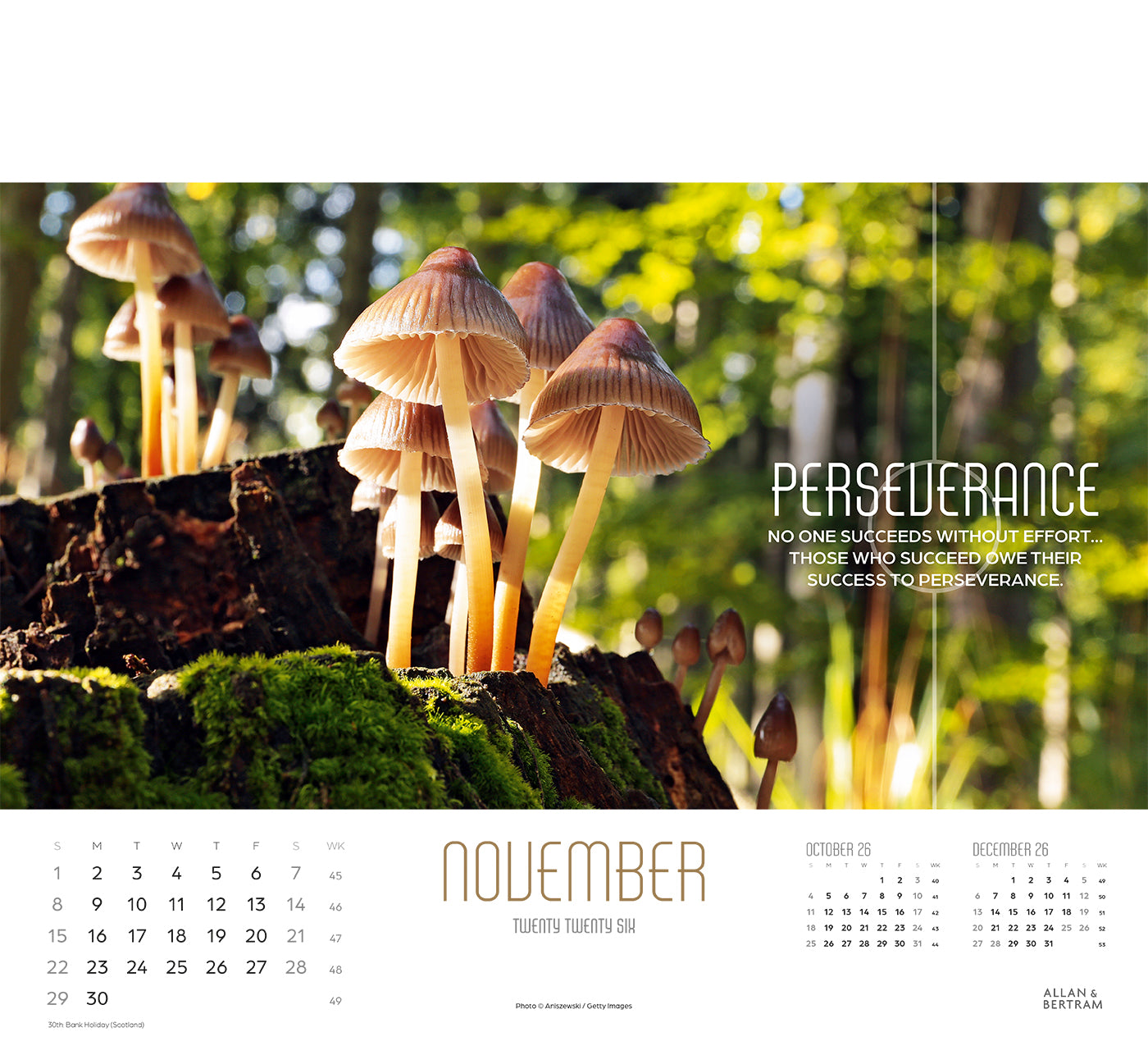 Inspired Thinking Wall Calendar